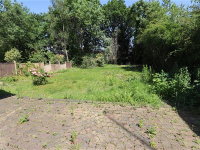 Picture 19